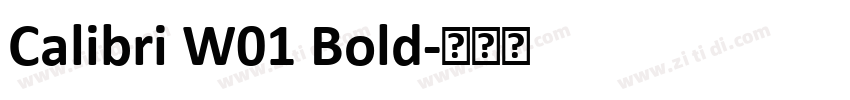Calibri W01 Bold字体转换